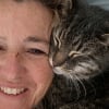 Illustration : Ce chat disparu depuis 3 mois retrouve sa famille gr&acirc;ce &agrave; une photo diffus&eacute;e &agrave; la t&eacute;l&eacute;vision