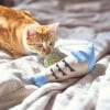 Illustration : Votre chat rapporte ses jouets dans votre lit, mais ce n&rsquo;est pas forc&eacute;ment pour vous faire un cadeau