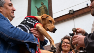 Chiens, chats et même un escargot sont bénis par des prêtres pour la fête de saint François d’Assise