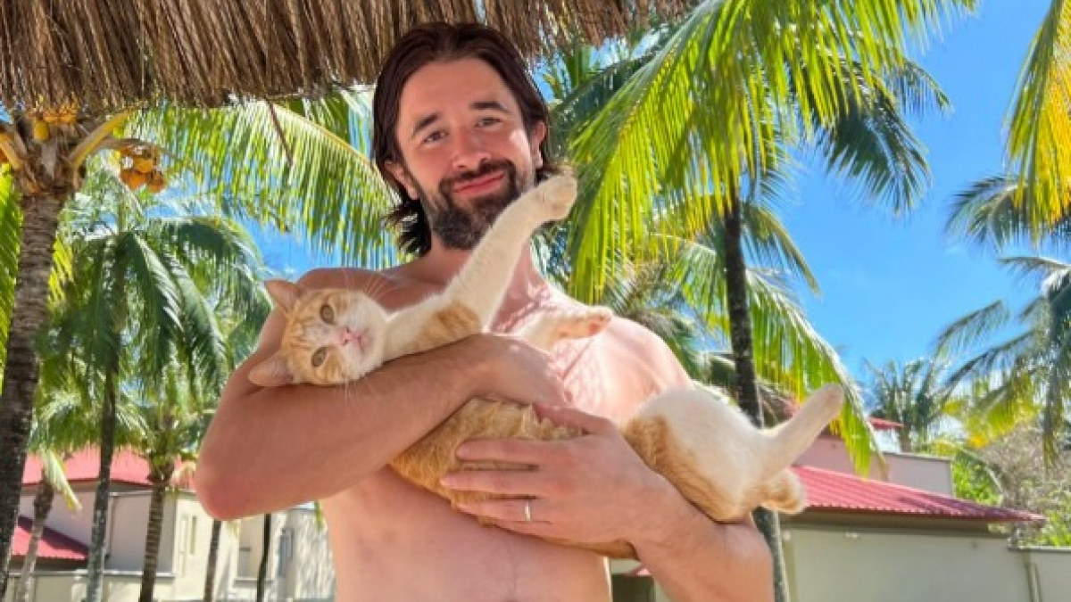 Illustration : "Après avoir perdu leur chat de 20 ans, ils rencontrent son sosie en vacances"