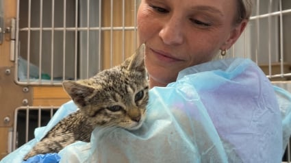 Illustration : Cette jeune chatte recommence &agrave; manger et &agrave; jouer malgr&eacute; la maladie qui a emport&eacute; son fr&egrave;re (vid&eacute;o)