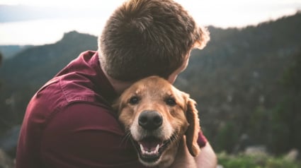 Illustration : Une &eacute;tude scientifique prouve que votre odeur active le centre du plaisir du cerveau de votre chien