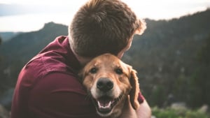 Illustration : Une &eacute;tude scientifique prouve que votre odeur active le centre du plaisir du cerveau de votre chien