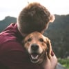 Illustration : Une &eacute;tude scientifique prouve que votre odeur active le centre du plaisir du cerveau de votre chien