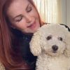 Illustration : Priscilla Presley adopte un chien de 10 ans qui ne connaissait que l'errance et la faim
