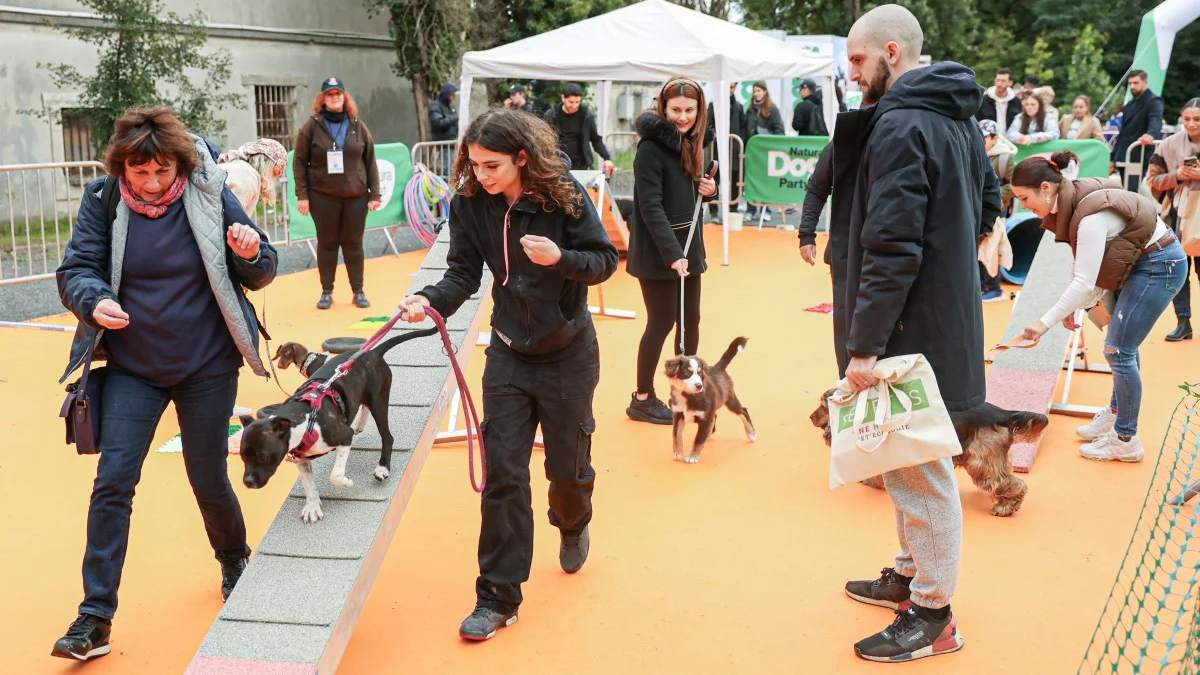 Illustration : "Animal Expo, la sortie incontournable des vacances de la Toussaint les 24 et 25 octobre"