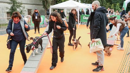 Illustration : Animal Expo, la sortie incontournable des vacances de la Toussaint les 24 et 25 octobre