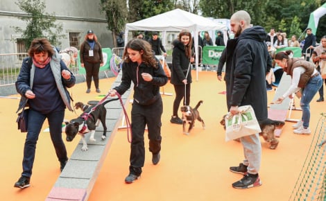 Animal Expo, la sortie incontournable des vacances de la Toussaint les 24 et 25 octobre