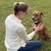 Illustration : &laquo; Il aime toujours la vie &raquo; : survivant de 9 blessures par balle, ce chien est adopt&eacute; par l'homme qui l'a vu au plus mal