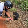 Illustration : Seul au bord d'un chemin de terre, ce chiot montre son ventre au cycliste qui s'arr&ecirc;te pour lui (vid&eacute;o)