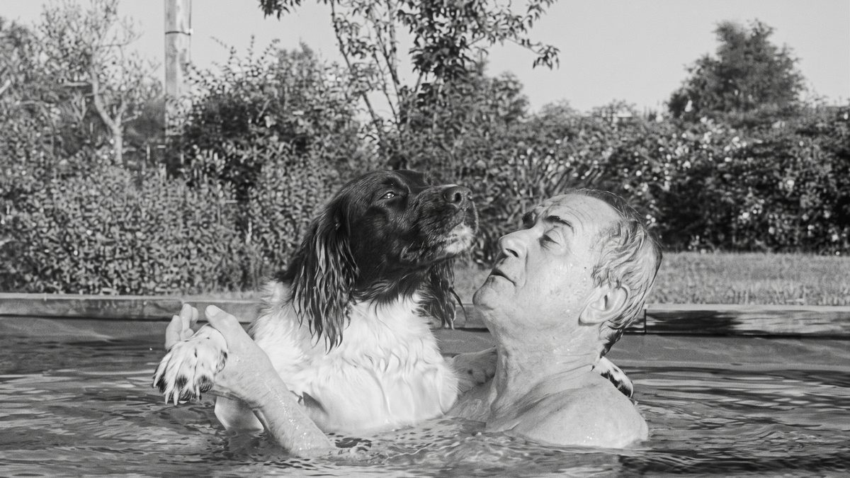 Illustration : "« T'es parti aussi mon Lazare » : Christophe Dechavanne dit adieu à un autre de ses chiens"