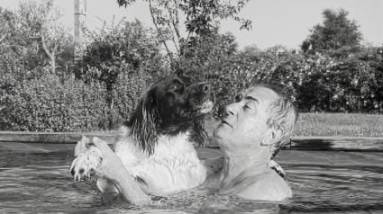Illustration : &laquo; T'es parti aussi mon Lazare &raquo; : Christophe Dechavanne dit adieu &agrave; un autre de ses chiens