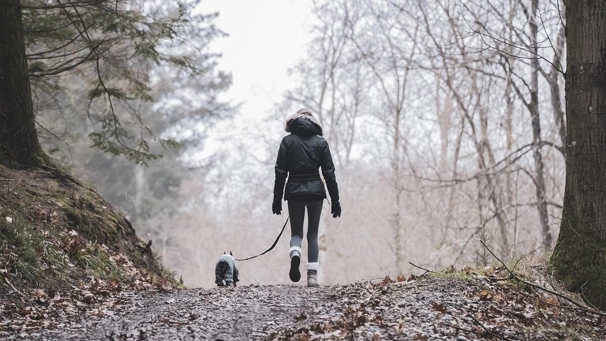Illustration : "Un chien aurait déjoué une tentative d’enlèvement visant sa maîtresse de 54 ans pendant leur promenade"