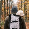Illustration : Balades, vir&eacute;es en ville&hellip; Ces sacs de transport facilitent les sorties avec votre chien ou votre chat