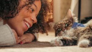 Illustration : Balade des Chats Agria : une photo ou une vid&eacute;o de votre f&eacute;lin permet un don de 5 &euro; au profit d&rsquo;une association