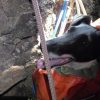 Illustration : Un chien coinc&eacute; pr&egrave;s de 80 m&egrave;tres sous le sentier, son ma&icirc;tre doit renoncer &agrave; le rejoindre