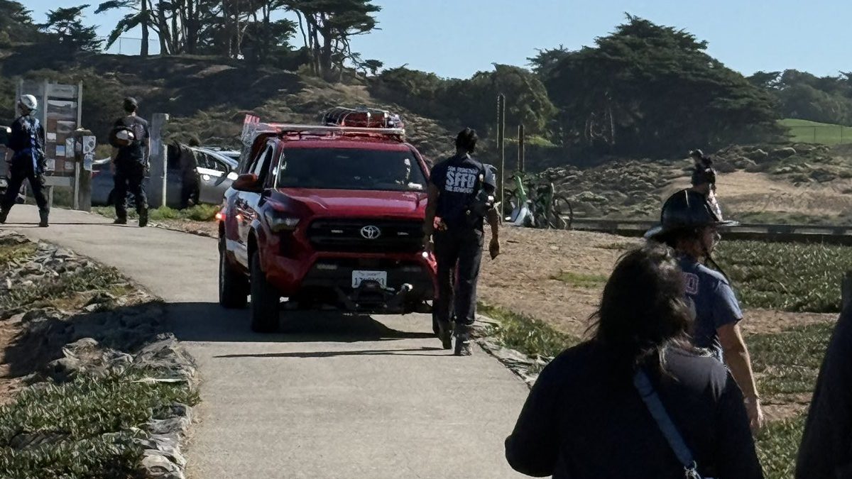 Illustration : "Elle veut secourir son chien sur une falaise, mais reste coincée et mobilise les pompiers"