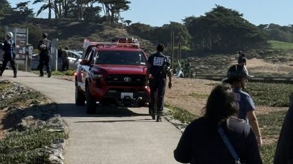 Illustration : Elle veut secourir son chien sur une falaise, mais reste coinc&eacute;e et mobilise les pompiers