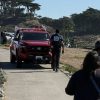 Illustration : Elle veut secourir son chien sur une falaise, mais reste coinc&eacute;e et mobilise les pompiers