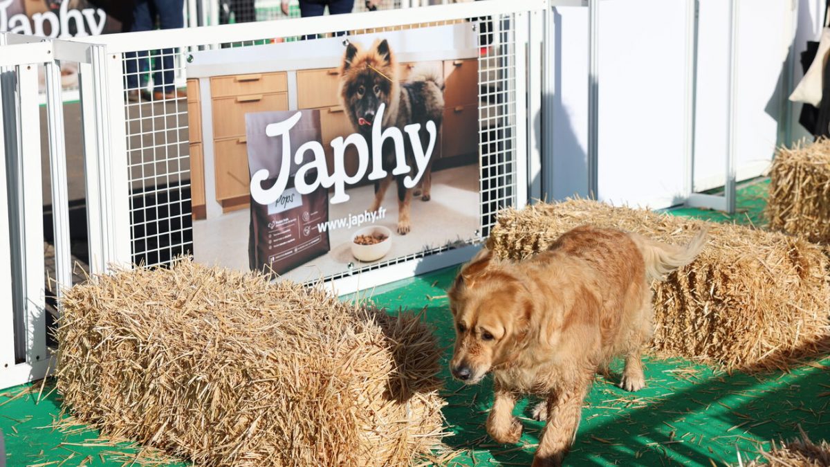 Illustration : "Japhy à Animal Expo : le bien-être du chien va bien au-delà de la gamelle"