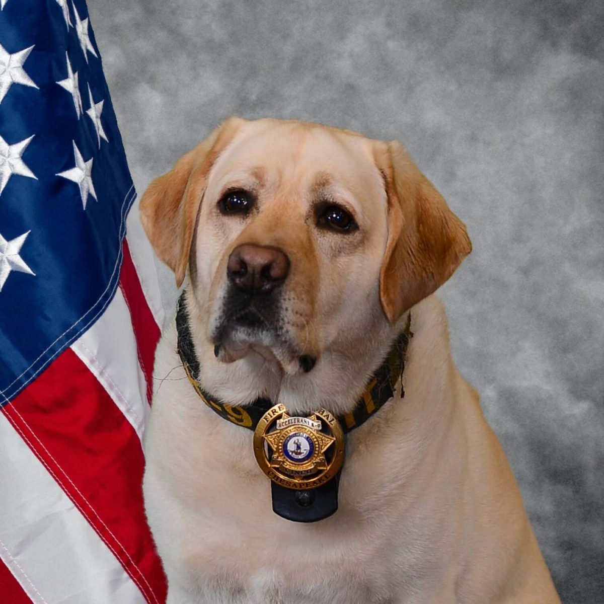 La photo officielle de Cinco chez les pompiers de Chesapeake