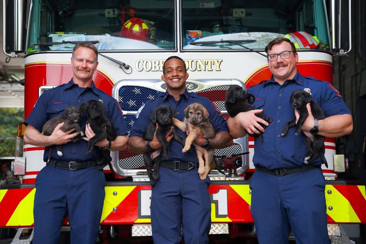 6 des chiots dans les bras des pompiers