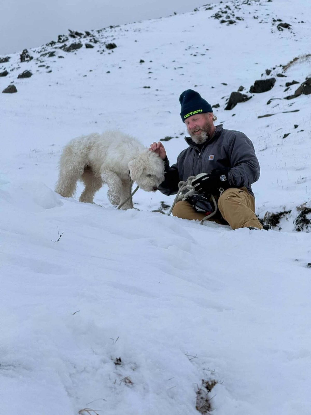 LouLou venant d'être retrouvée par Dave Beckett