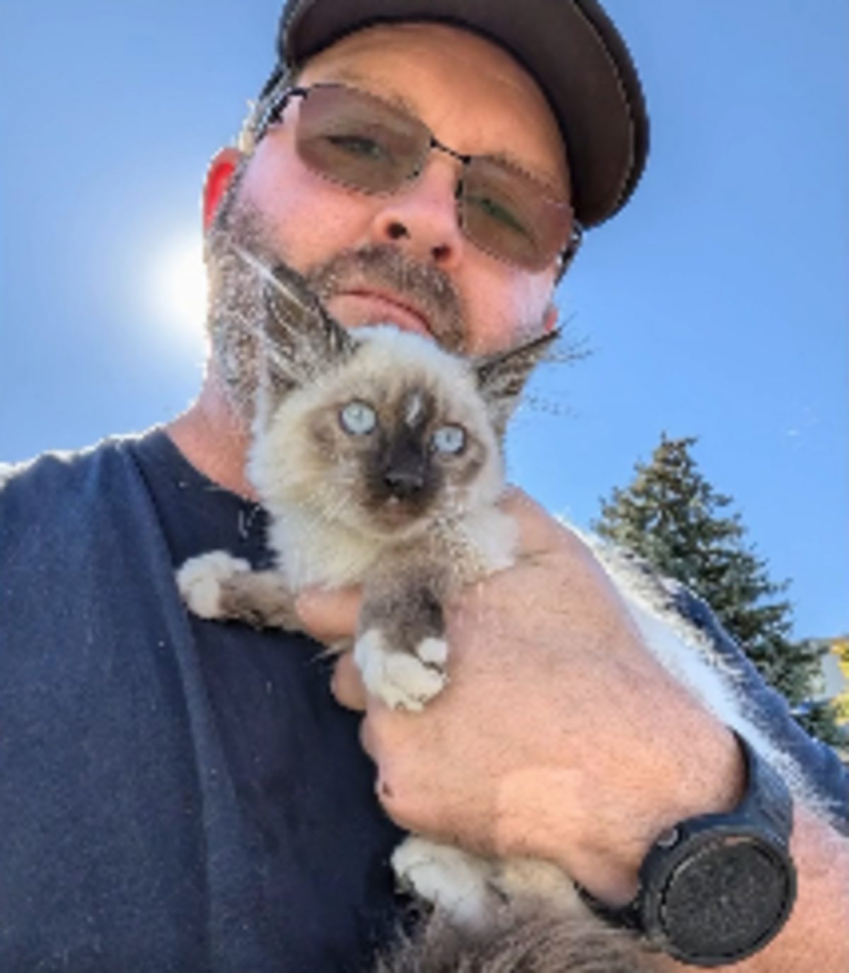 Le chaton après son sauvetage