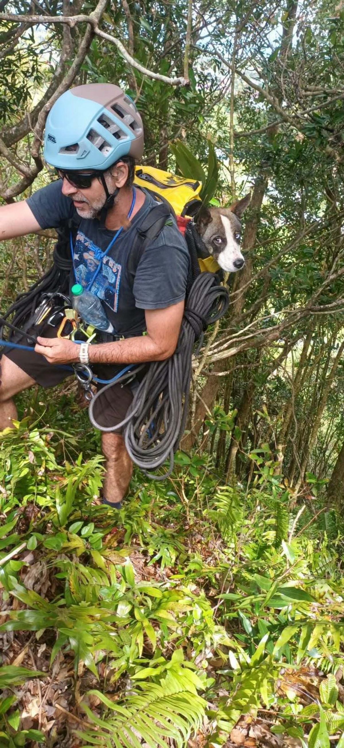 Dioré placé dans un sac pendant son sauvetage