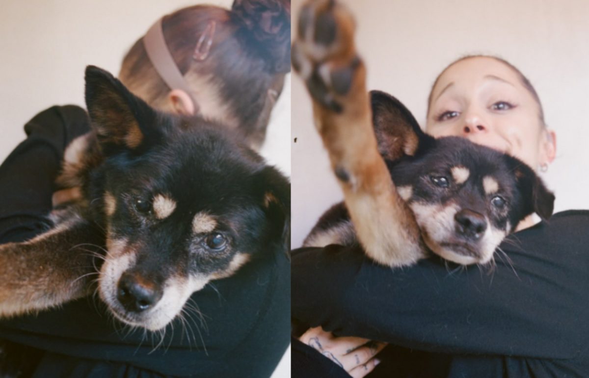 Coco dans les bras d'Ariana Grande