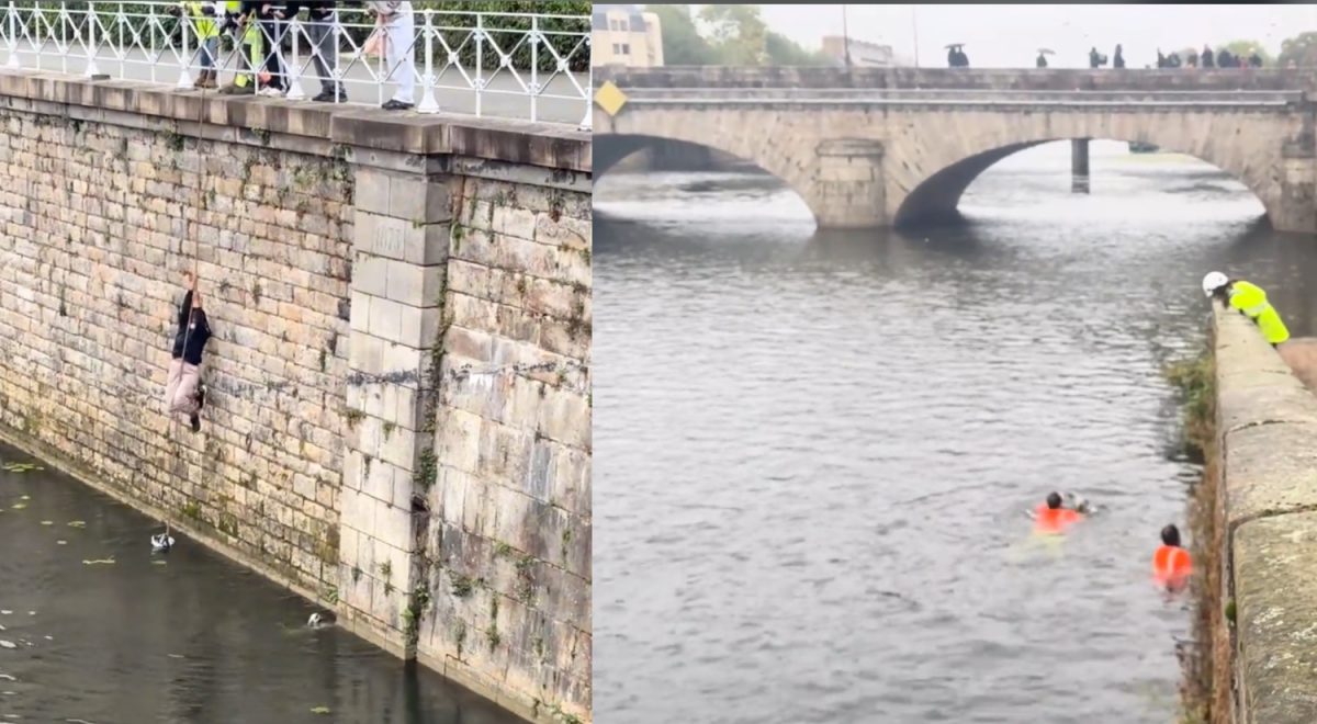 La jeune fille, puis les agents du Mans Métropole intervenant pour sauver le chien