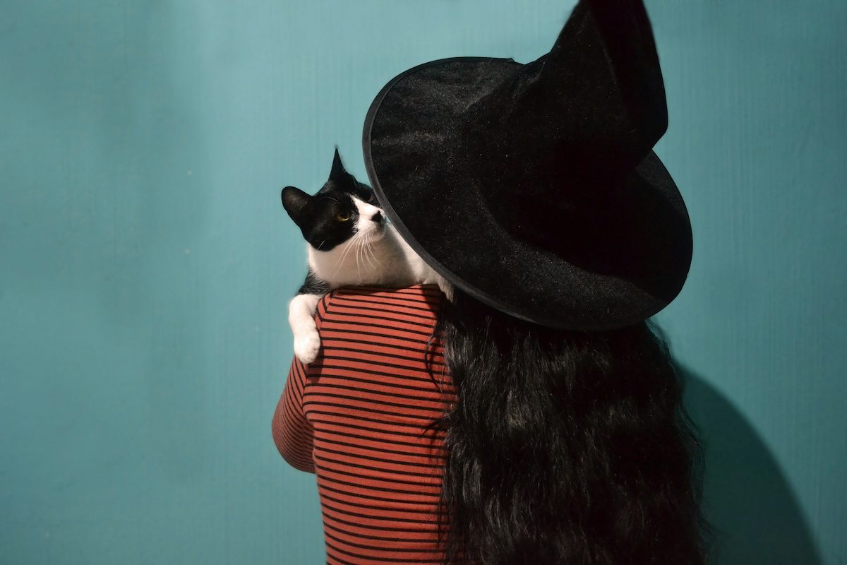 Un chat qui regarde un chapeau de sorcière