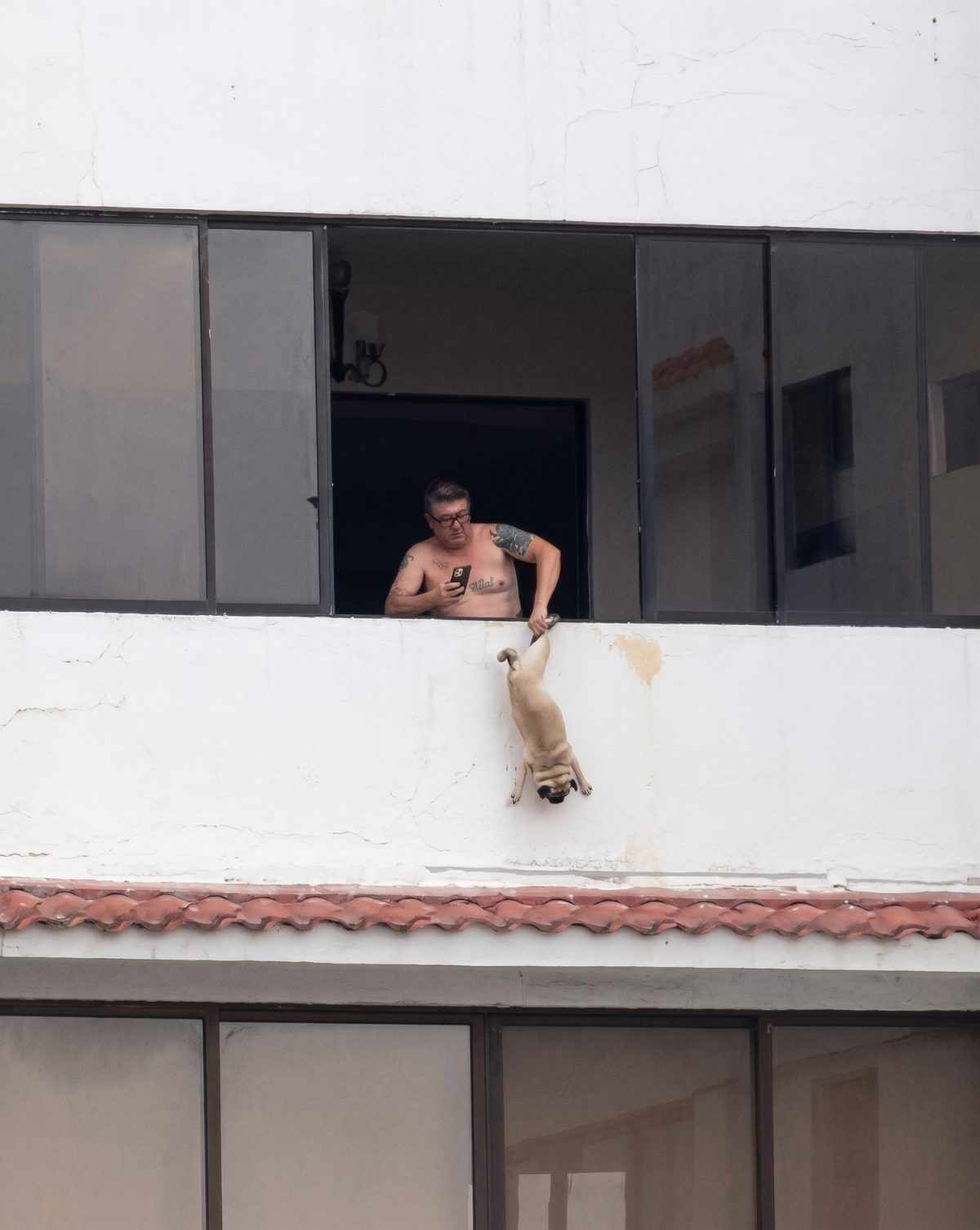 Héctor Alejandro Rosales Bonilla tenant un Carlin par ses pattes arrière, suspendu au-dessus du vide