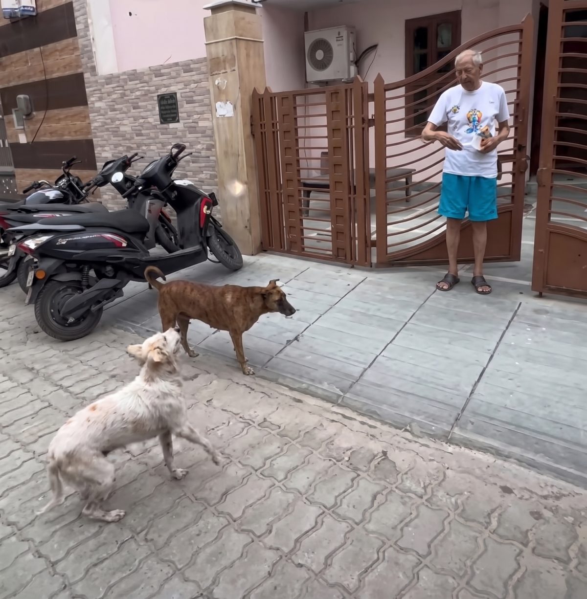 Le grand-père de Shefali Jain nourrissant les chiens errants