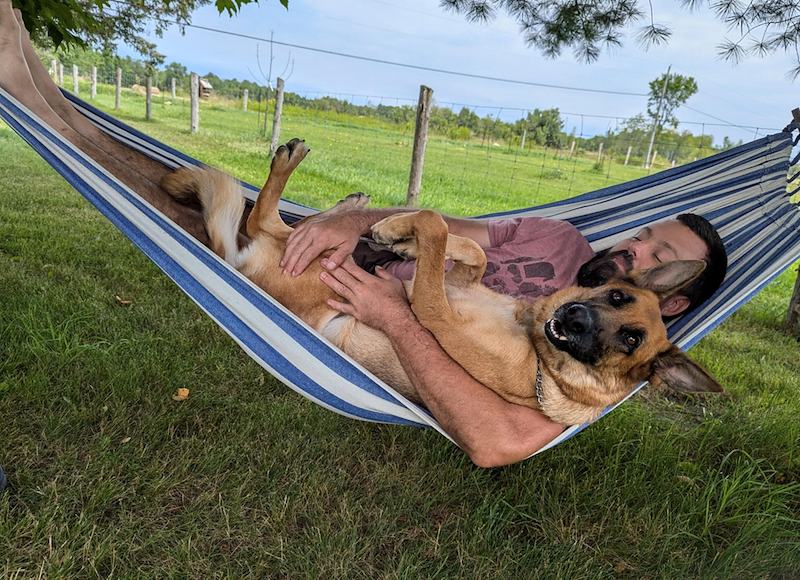 Un chien fauve et noir à grandes oreilles couché sur le dos contre un homme allongé dans un hamac rayé bleu et blanc, dans un pré