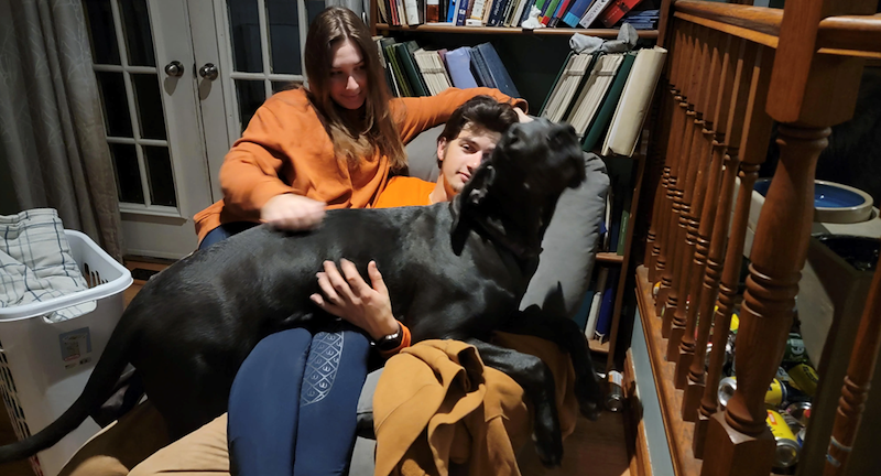 Un grand chien noir étendu en travers des genoux de deux jeunes gens assis sur un fauteuil, devant une bibliothèque