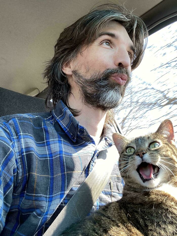 Chat tigré miaulant dans une voiture à côté d'un homme barbu en chemise à carreaux