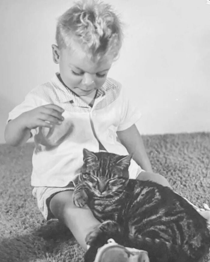 Jeune garçon regardant un chat tigré endormi sur ses genoux