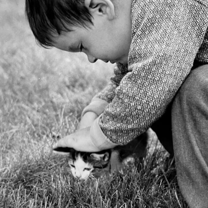 Garçon caressant doucement un petit chat dans l'herbe, cliché en noir et blanc