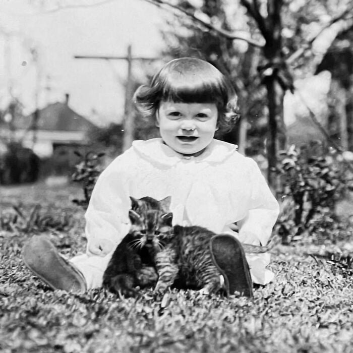 Jeune enfant souriant assis dans l'herbe avec deux chatons touffus
