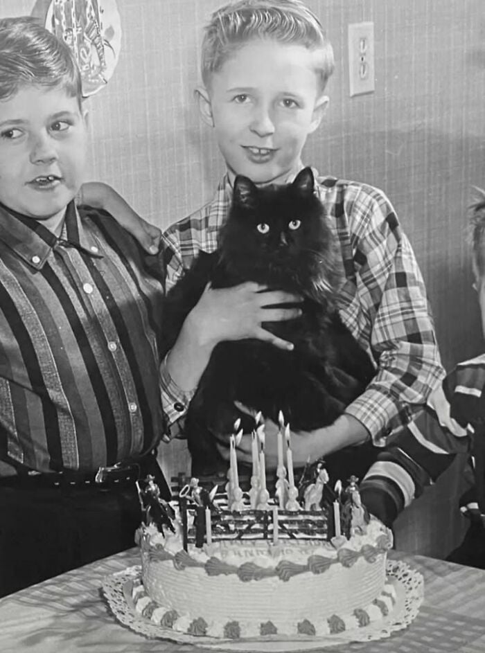 Garçon tenant un chat noir touffu derrière un gâteau d'anniversaire