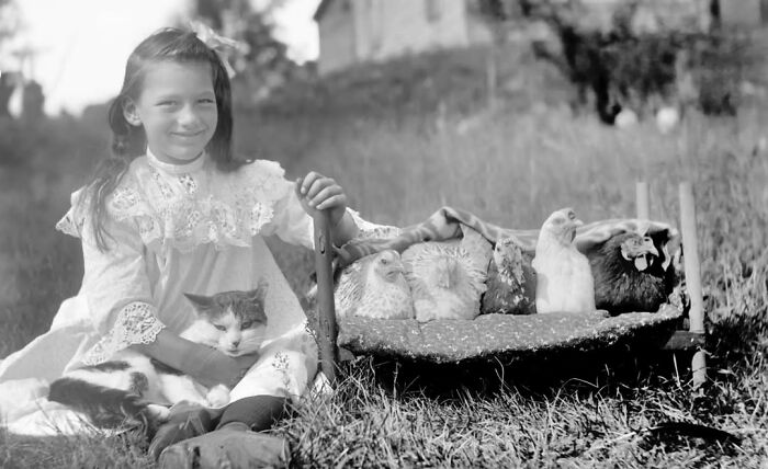 Fillette assise dans l'herbe avec son chat, près d'un petit lit occupé par des poules