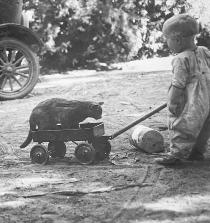 Tout-petit tirant un chariot-jouet dans lequel est assis un chat noir