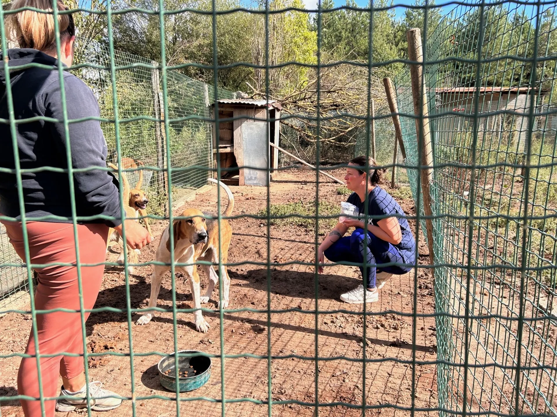 Deux femmes dans un enclos de terre, deux chiens beige et blanc s'avancent vers elles