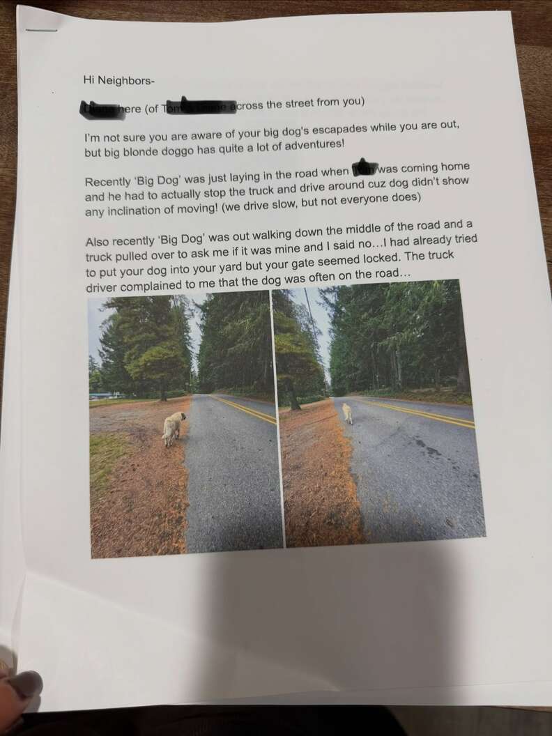 Page du rapport montrant Bear sur une route bordée d'arbres