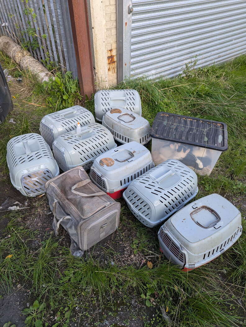 Des caisses de transport grises, une sacoche en tissu et un bac transparent alignés dans l'herbe devant un rideau métallique