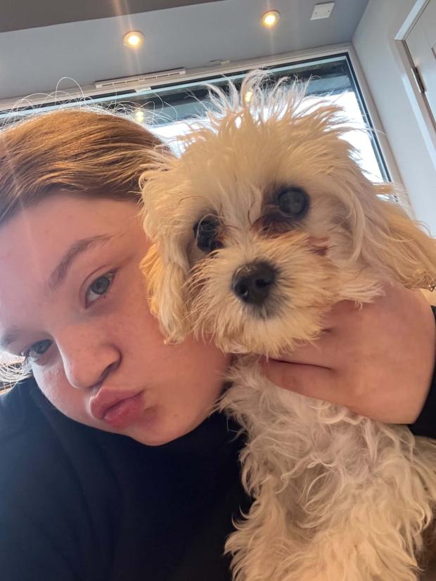 Ava joue contre joue avec Bonnie, petit chien crème au poil ébouriffé