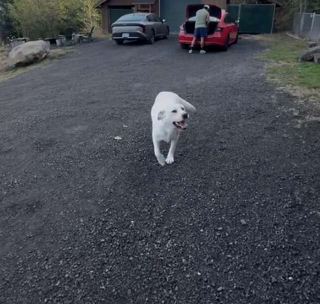 Pearl en plein jeu avec Hiền devant la maison d'hôtes