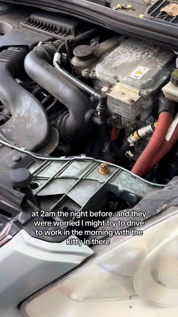 Le compartiment moteur de la voiture