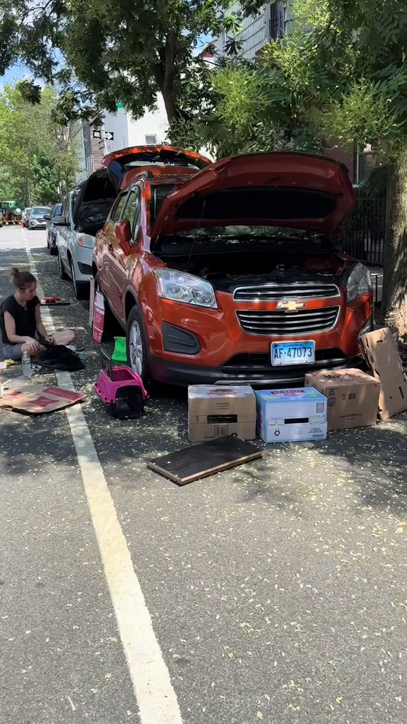 La seconde voiture entourée de cartons et d'un panier de transport